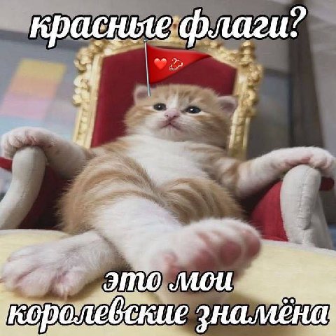флаги: he 4! это мои