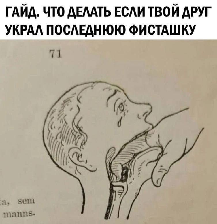 ГАЙД. ЧТО ДЕЛАТЬ ЕСЛИ ТВОЙ ДРУГ УКРАЛ ПОСЛЕДНЮЮ ФИСТАШКУ