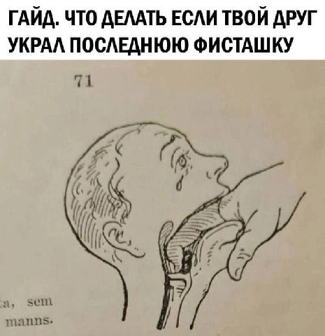 ГАЙД. ЧТО ДЕЛАТЬ ЕСЛИ ТВОЙ ДРУГ УКРАЛ ПОСЛЕДНЮЮ ФИСТАШКУ