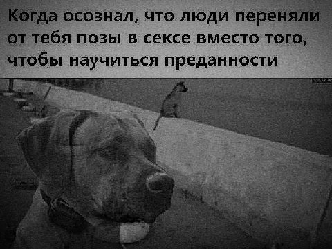 nar осознал, что люди переняли тебя позы в сексе вместо того, чтобы научиться преданности