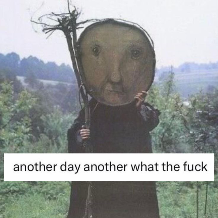 another day another what the fuck
