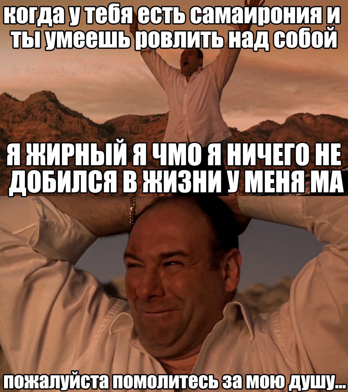 когда утебя есть самаирония и ты умеешь ровлить над собой Я ЖИРНЫЙ Я ЧМО Я НИЧЕГО НЕ ДОБИЛСЯ В ЖИЗНИ У МЕНЯ пожалуйста помолитесь за мою душу...