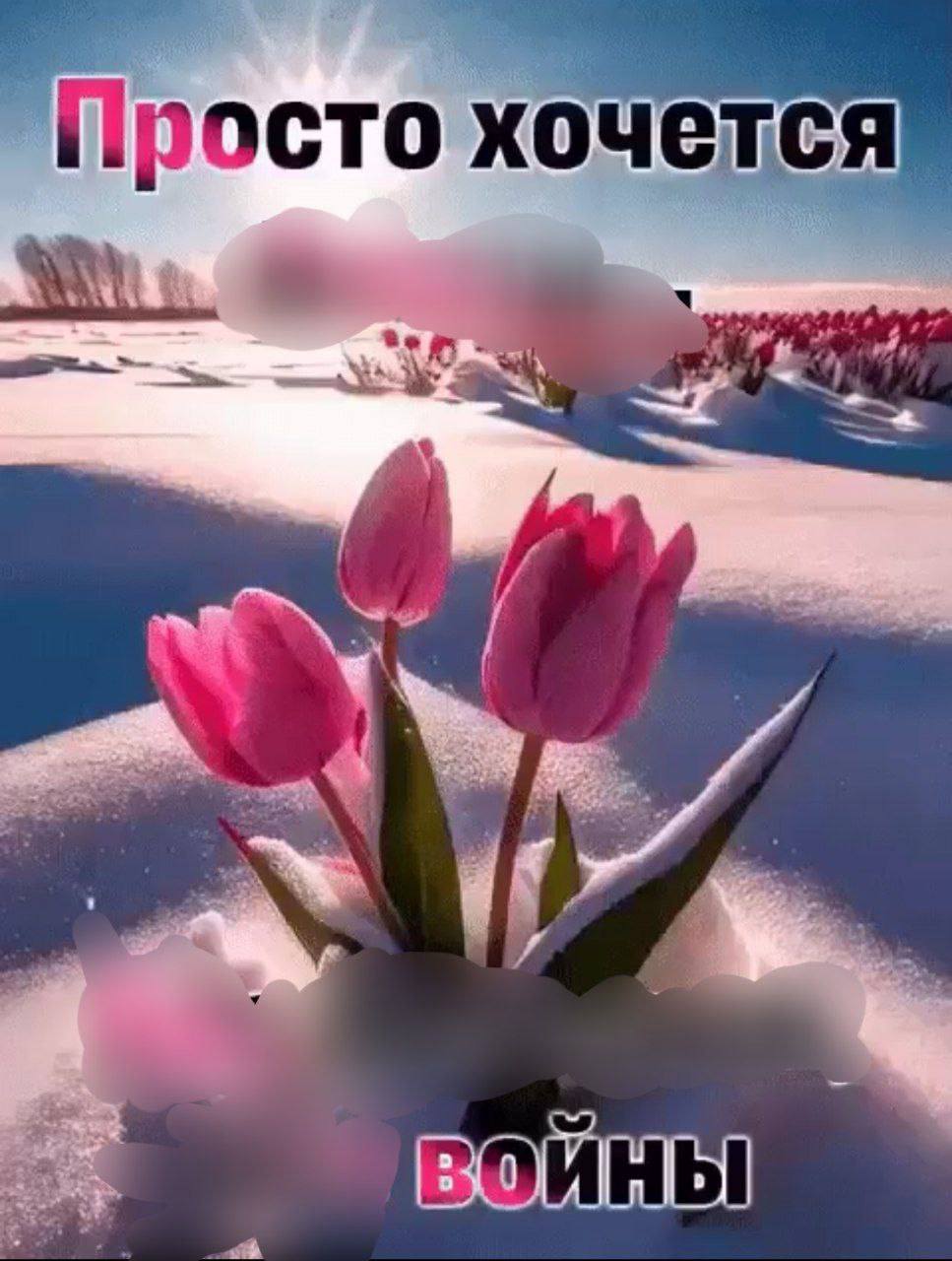 Просто хочется ВОЙНЫ
