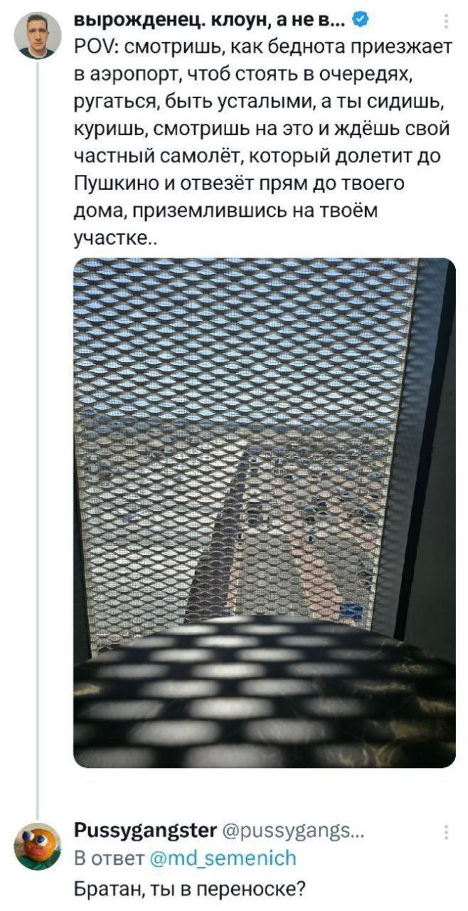 вырожденец. клоун, анев... POV: смотришь, как беднота приезжает в аэропорт, чтоб стоять в очередях, ругаться, быть усталыми, а ты сидишь, куришь, смотришь на это и ждёшь свой частный самолёт, который 