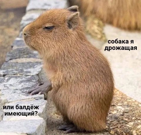 я дрожащая AN 7} ли балдёж i имеющии