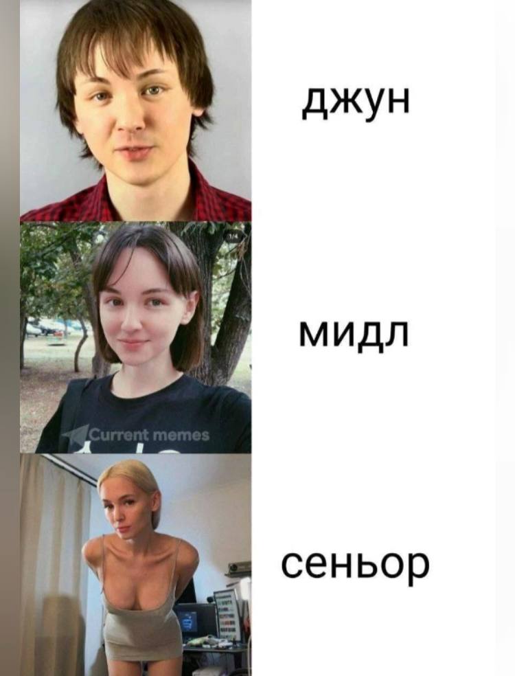 джун мидл сеньор