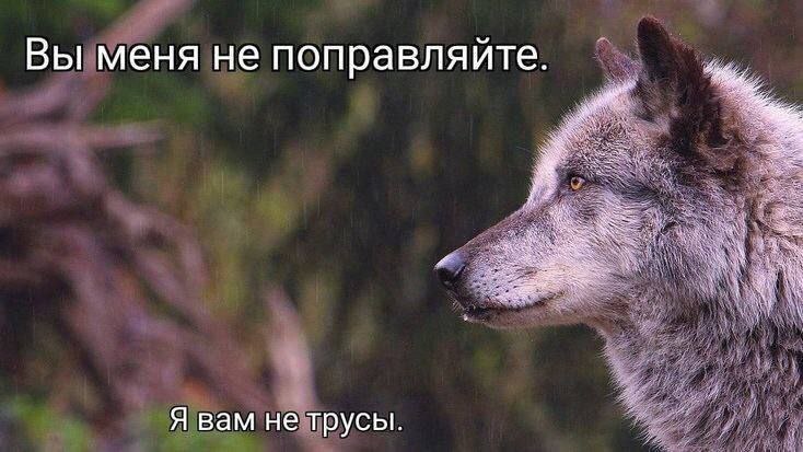 как уделать любово(го) в споре