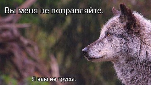 как уделать любово(го) в споре