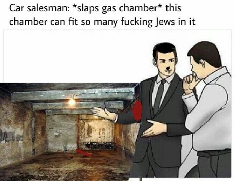 Car salesman: *slaps gas this chamber can fit so many fucking Jews in it