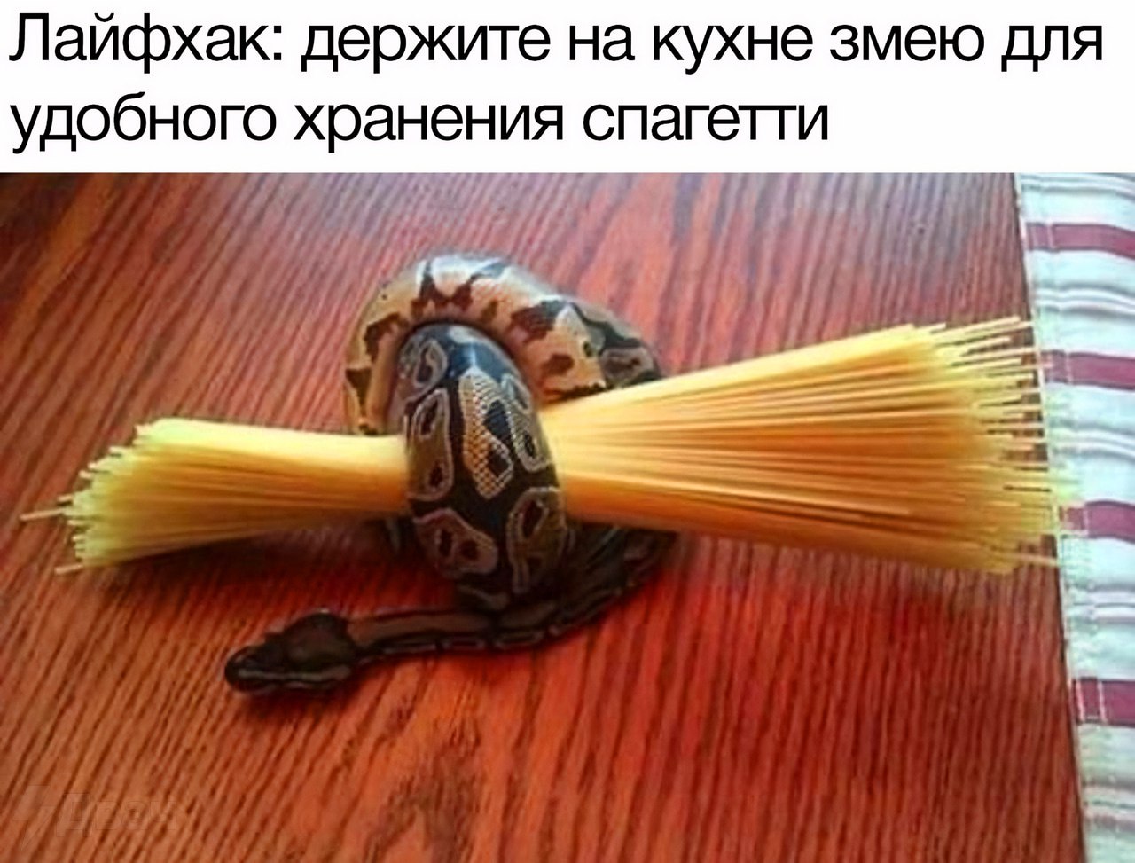 Лайфхак: держите на кухне змею для удобного хранения спагетти