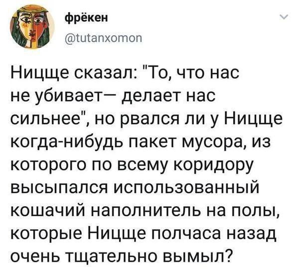 фрёкен @tutanxomon Ницще сказал: "То, что Hac не делает нас сильнее", но рвался ли у Ницще когда-нибудь пакет мусора, из которого по всему коридору высыпался использованный кошачий наполнитель на полы