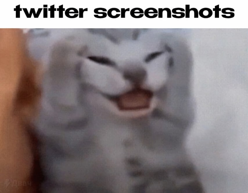 twitter screenshots