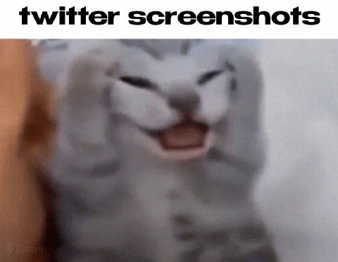 twitter screenshots