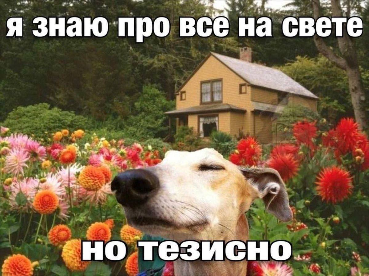 я знаю про всё на светё AS но тезисно