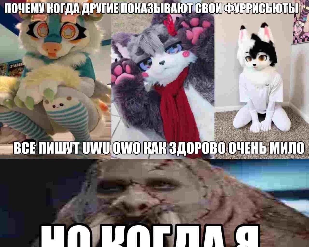 ПОЧЕМУ КОГДА ДРУГИЕ ПОКАЗЫВАЮТ СВОИ ФУРРИСЬЮТЫ ~BCE КАК ЗДОРОВО ОЧЕНЬ МИЛО а