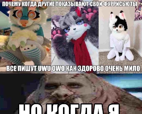 ПОЧЕМУ КОГДА ДРУГИЕ ПОКАЗЫВАЮТ СВОИ ФУРРИСЬЮТЫ ~BCE КАК ЗДОРОВО ОЧЕНЬ МИЛО а