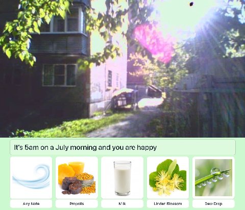 7 It's Бат on a July morning and you are happy Milk Linden Blossom Airy Note Propolis Dew Drop