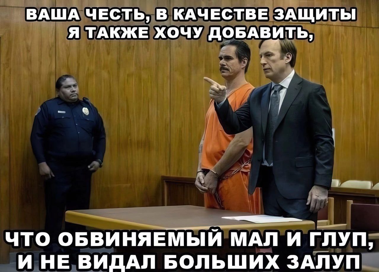 ВАША ЧЕСТЬ, В КАЧЕСТВЕ ЗАЩИТЫ Я ТАКЖЕ ХОЧУ ДОБАВИТЬ, ЧТО ОБВИНЯЕМЫЙ МАЛ И ГЛУП, И НЕ ВИДАЛ БОЛЬШИХ ЗАЛУП