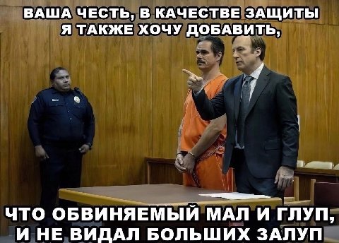 ВАША ЧЕСТЬ, В КАЧЕСТВЕ ЗАЩИТЫ Я ТАКЖЕ ХОЧУ ДОБАВИТЬ, ЧТО ОБВИНЯЕМЫЙ МАЛ И ГЛУП, И НЕ ВИДАЛ БОЛЬШИХ ЗАЛУП