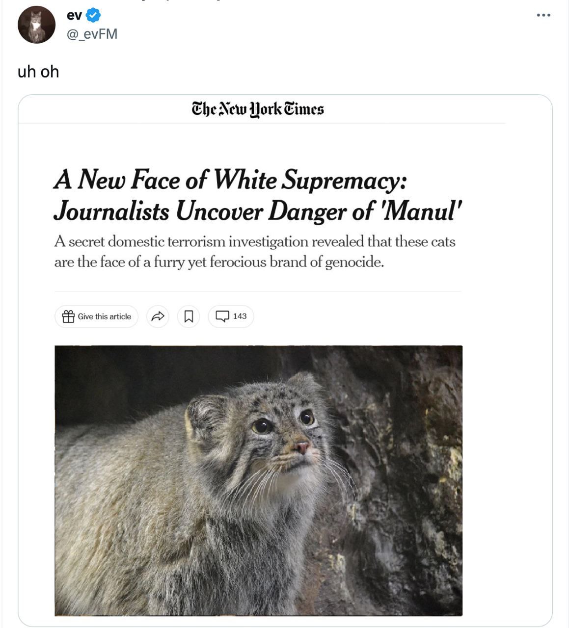 о @_evFM The New York A New Face of White Supremacy: Journalists Uncover Danger of 'Manul’ A secret domestic terrorism investigation revealed that these cats are the face of a furry yet ferocious bran