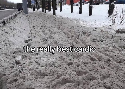really best cardio