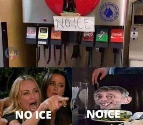 NEICE NO
