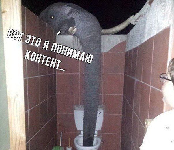 No