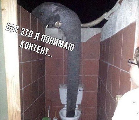No