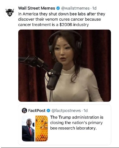 Wall Street Memes @wallstmemes In America they shut down bee labs after they discover their venom cures cancer because cancer treatment is a industry FactPost @factpostnews The Trump administration is