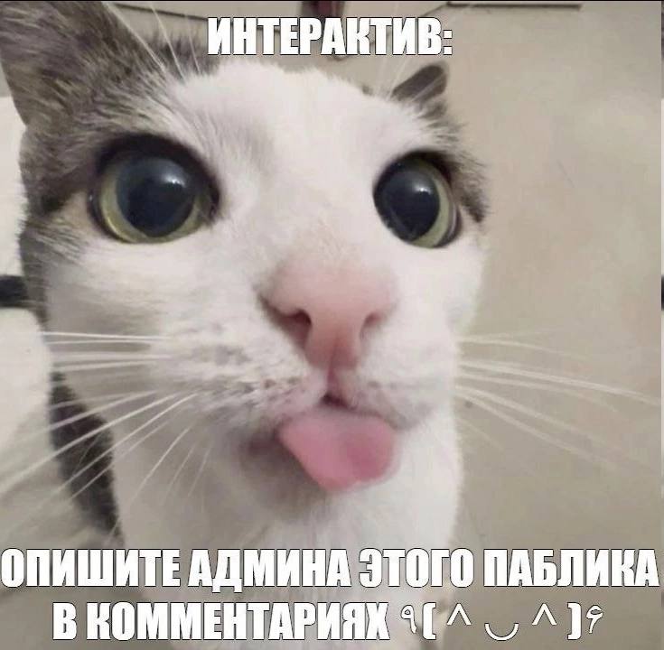ИНТЕРАКТИВ ОПИШИТЕАДМИНА ЭТОГО ПАБЛИКА В КОММЕНТАРИЯХ