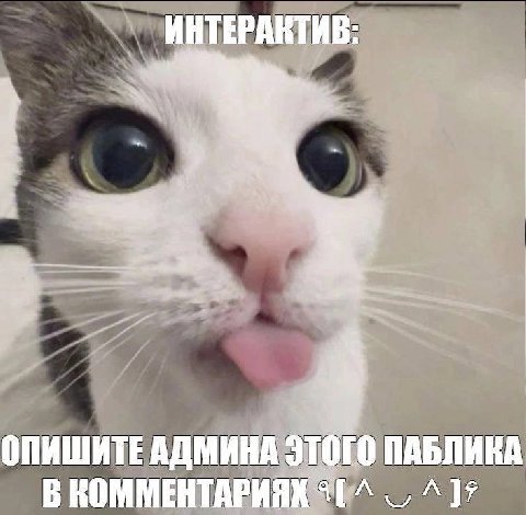 ИНТЕРАКТИВ ОПИШИТЕАДМИНА ЭТОГО ПАБЛИКА В КОММЕНТАРИЯХ