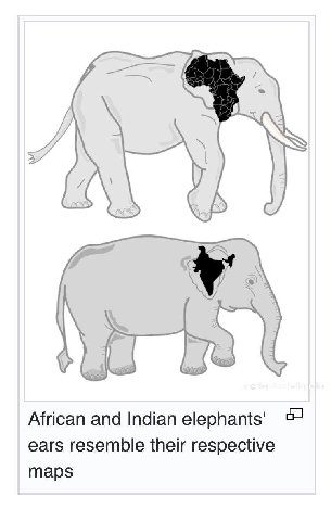 African and Indian еерпат$' ears resemble their respective maps