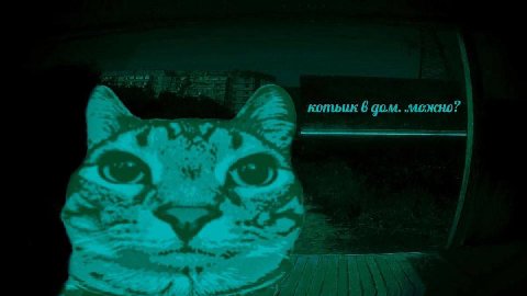 а за котьик 6 дом. можно? 4 1 3 3 1