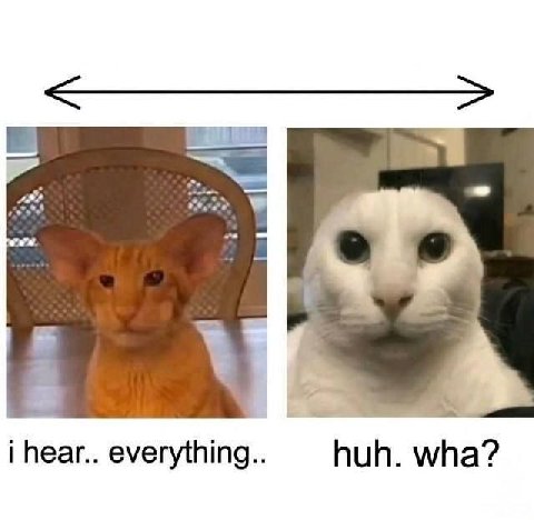 i hear.. everything.. huh. wha?