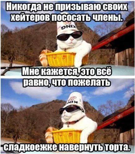 Никогда. не призываю. Своих хейтеров пососать Мне все равно, что пожелать сладкоежке навернуть торта