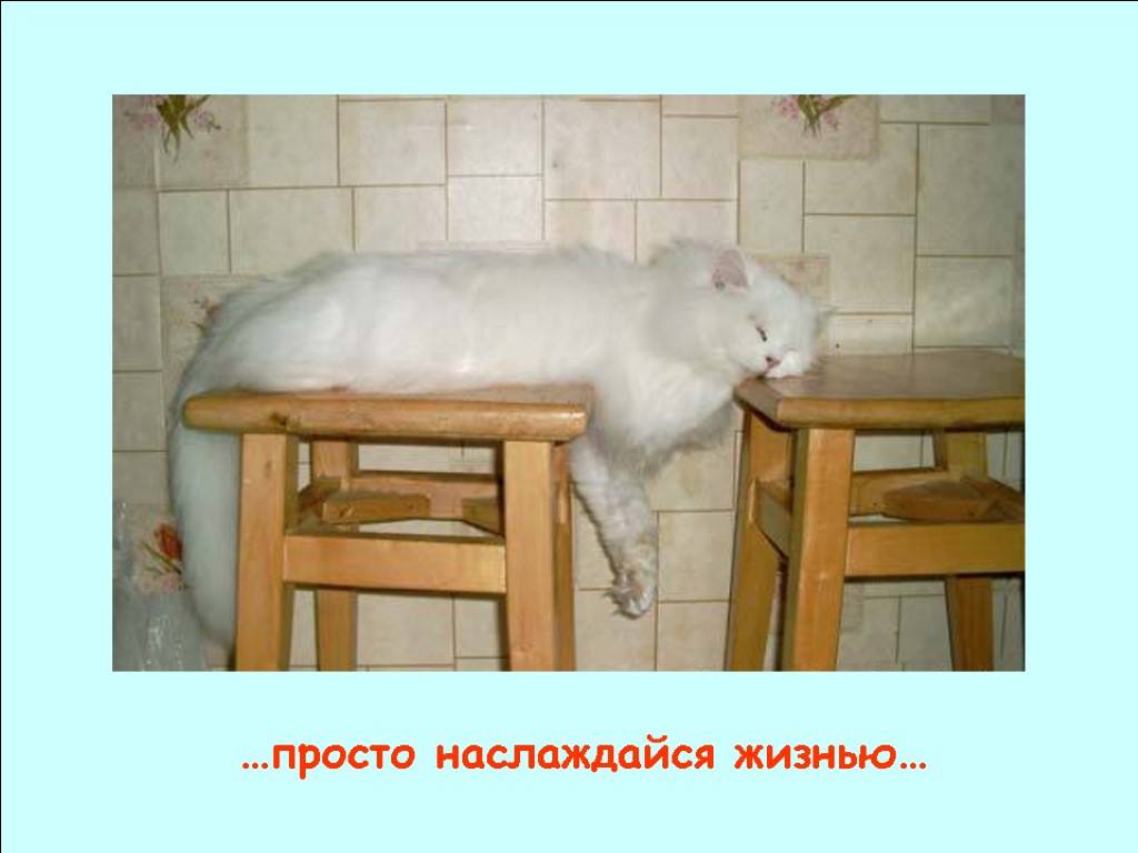 7 просто наслаждайся жизнью...
