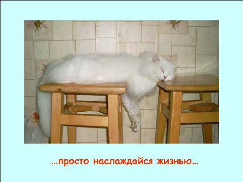 7 просто наслаждайся жизнью...
