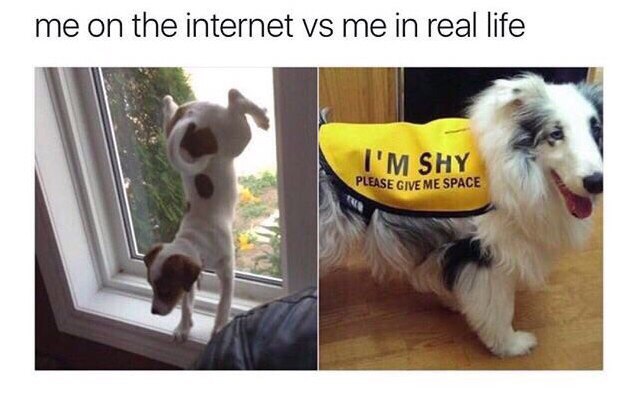 me on the internet me in real life SHY GIVE ME