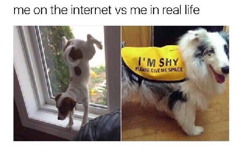 me on the internet me in real life SHY GIVE ME