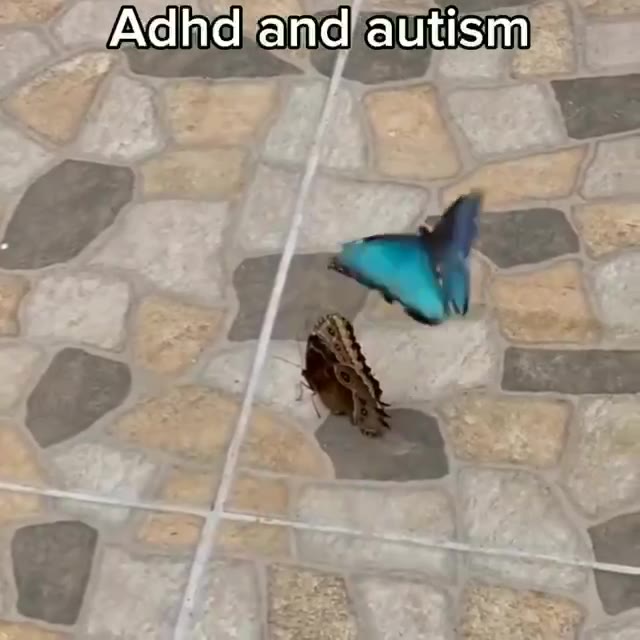 Ада па"апа autism) _