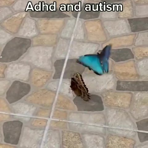 Ада па"апа autism) _