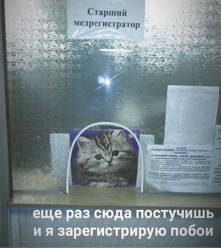 Старший медрегистратор 5 1 4 i 4 10 i CHUNG, a 2 В 2 еще раз сюда постучишь зарегистрирую побои