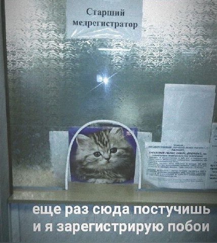 Старший медрегистратор 5 1 4 i 4 10 i CHUNG, a 2 В 2 еще раз сюда постучишь зарегистрирую побои