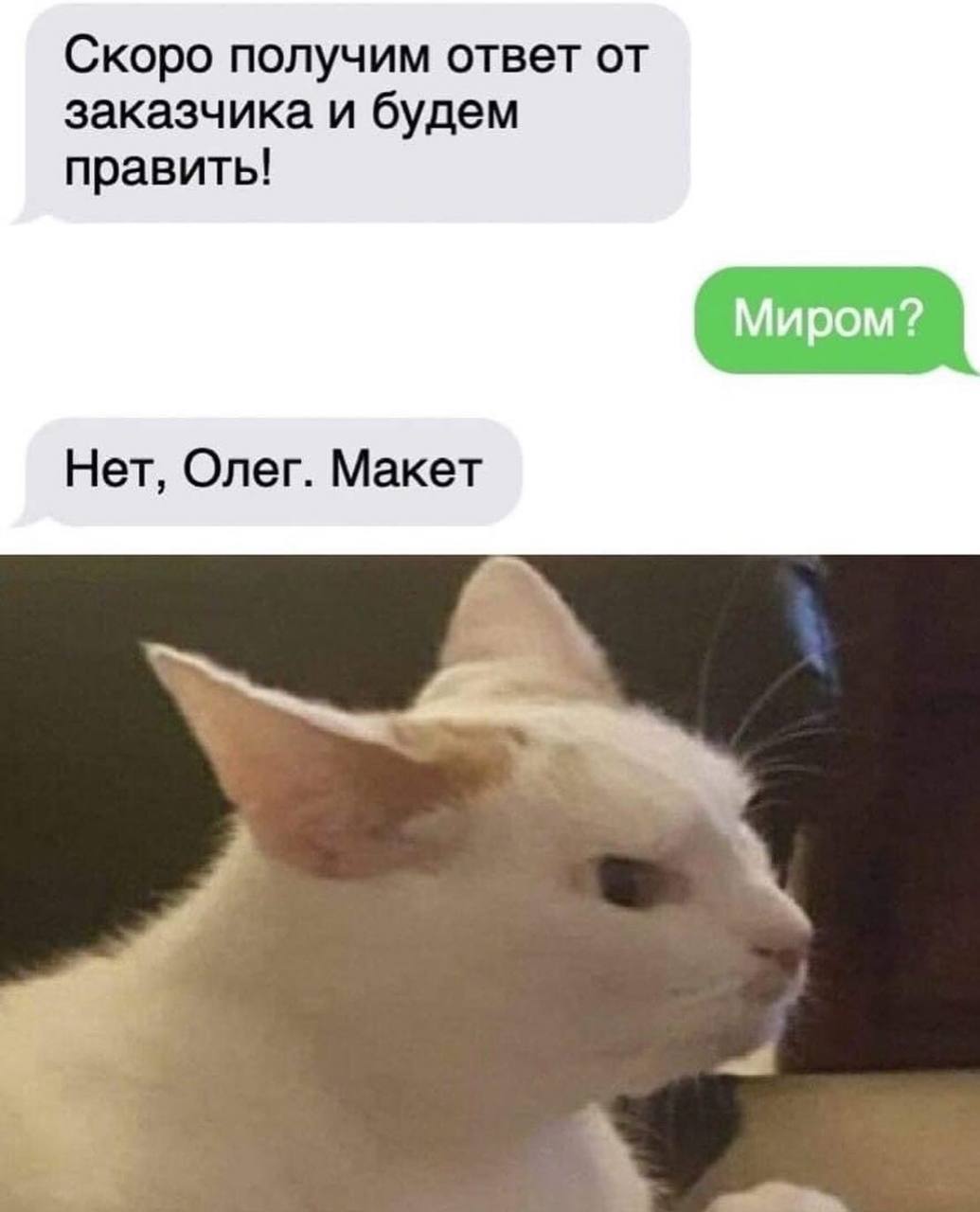 Скоро получим ответ от заказчика и будем править! Нет, Олег. Макет