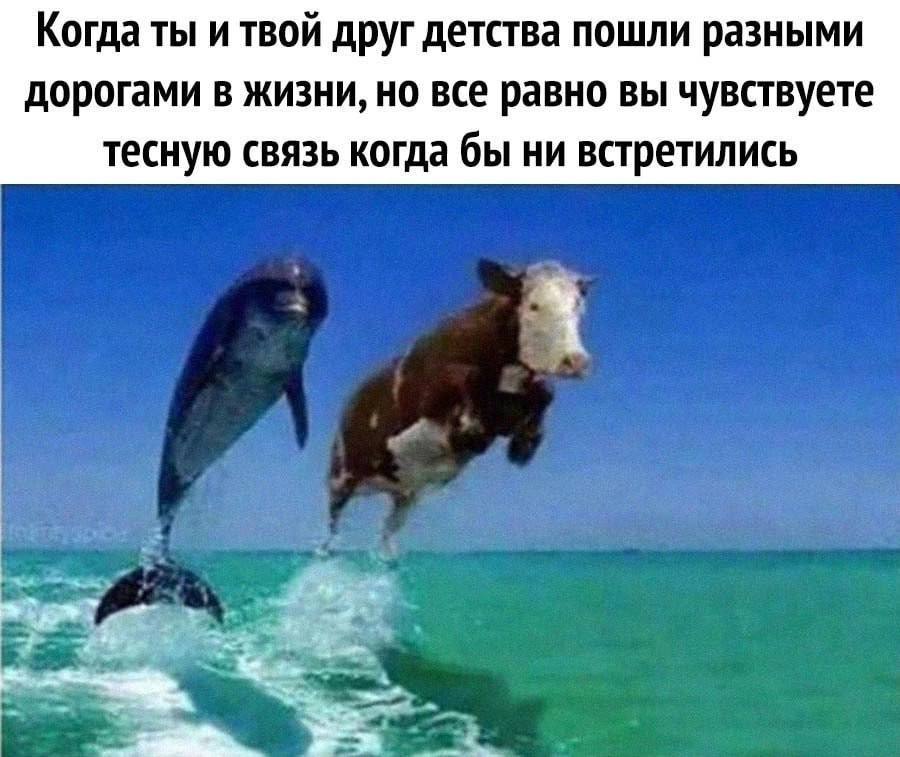Когда ты и твой друг детства пошли разными дорогами в жизни, но все равно вы чувствуете тесную связь когда бы ни встретились 4