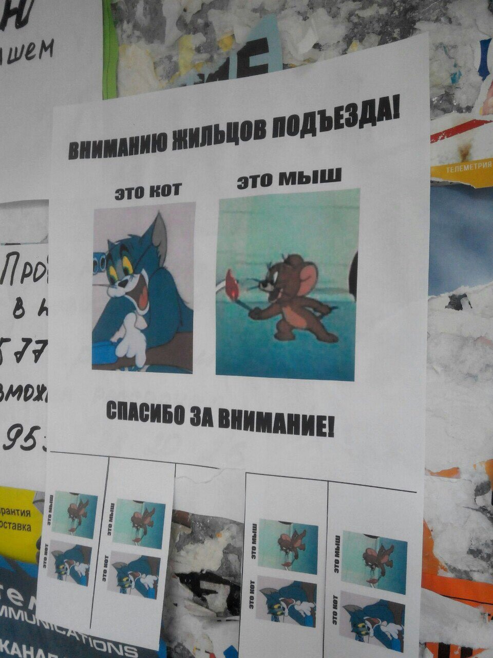 это кот это мыш 95 СИБО ЗА ВНИМАНИЕ a В Я An,
