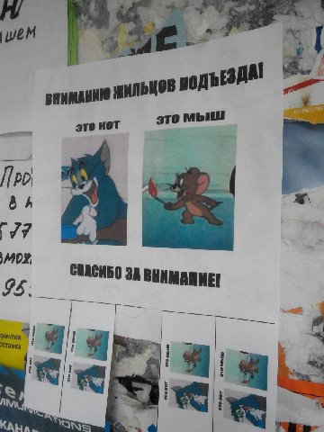 это кот это мыш 95 СИБО ЗА ВНИМАНИЕ a В Я An,