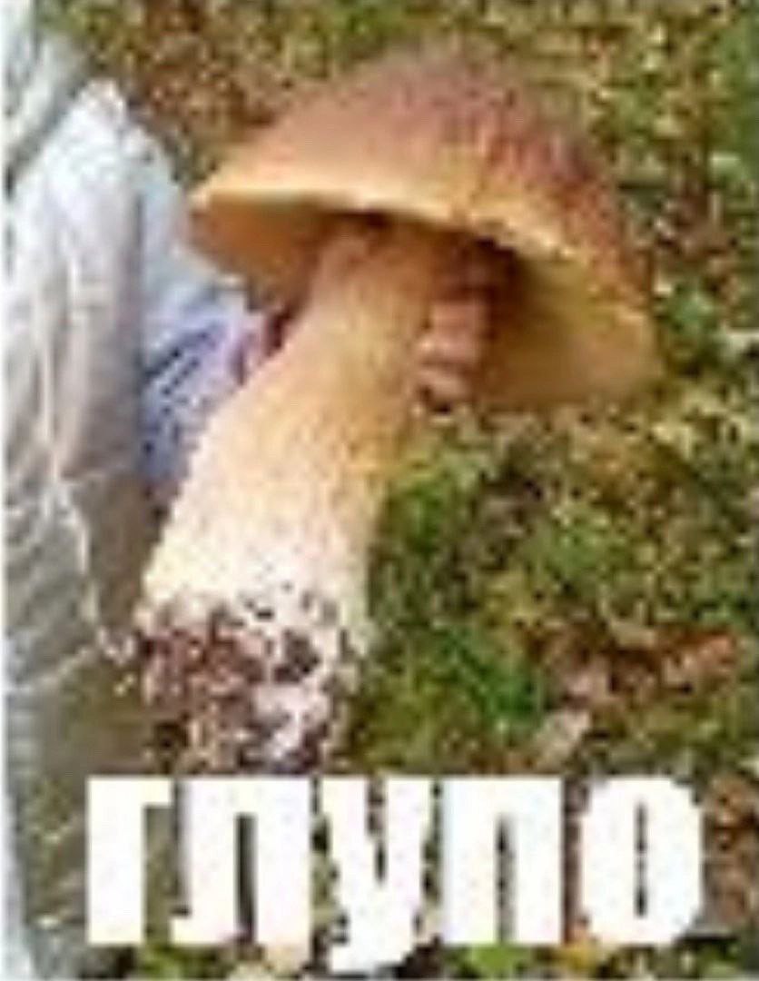 ГЛУПО