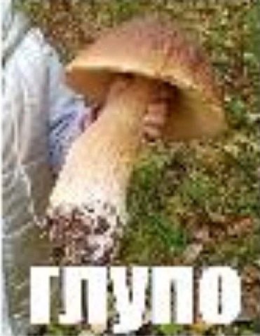 ГЛУПО