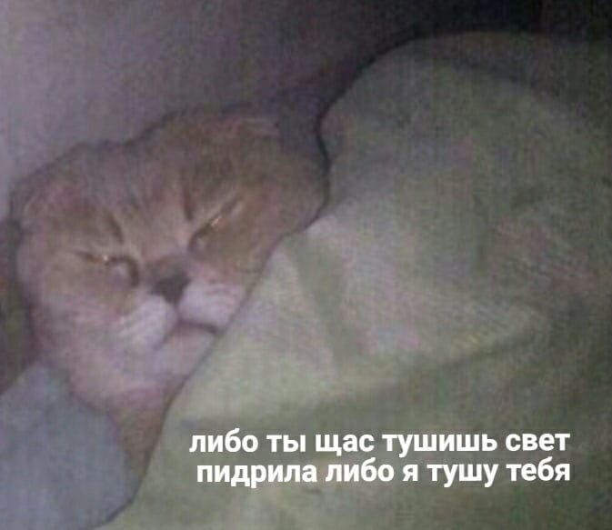 либо ты щас тушишь свет пидрила либо я тушу тебя